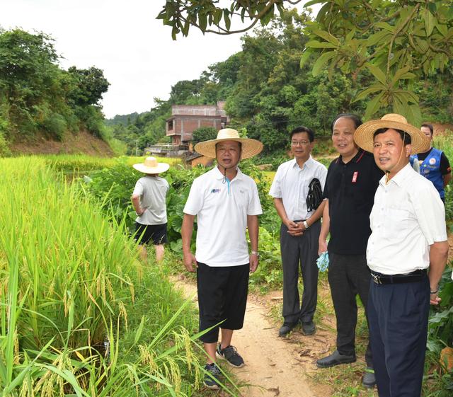 協調解決掛點村用水用電難題助力決戰決勝脫貧攻堅