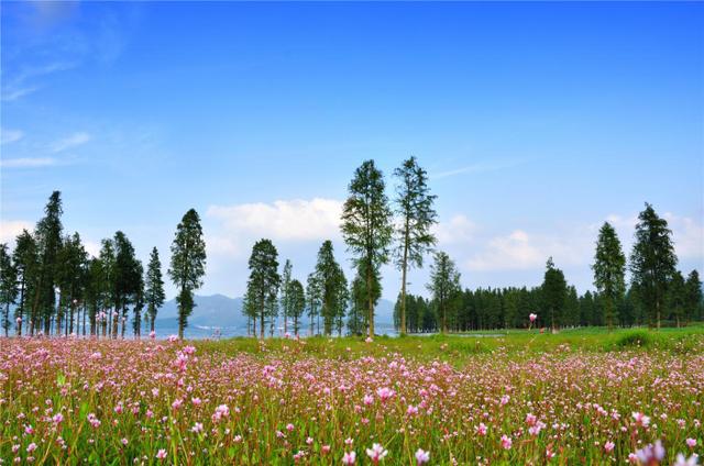 “浙東延安”開展全域土地綜合整治成了全國生態(tài)產(chǎn)品價(jià)值實(shí)現(xiàn)典型