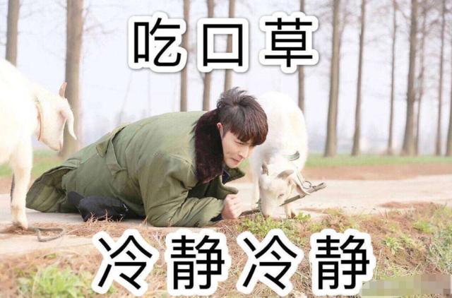 杨迪视频道歉，坦言不知道“三缺一”是归国四子黑称，求粉丝原谅
