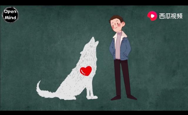 狗的进化史：狼到到底是怎么变成狗的？在西瓜视频里有了完美答案