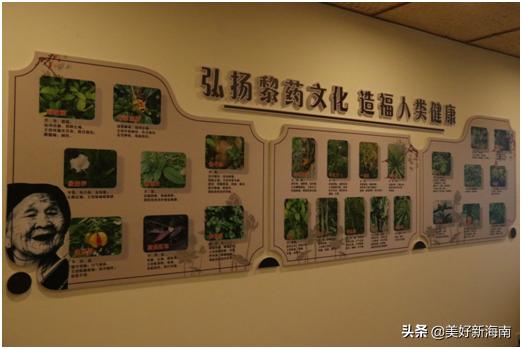 【中医科普】什么是黎族医药？