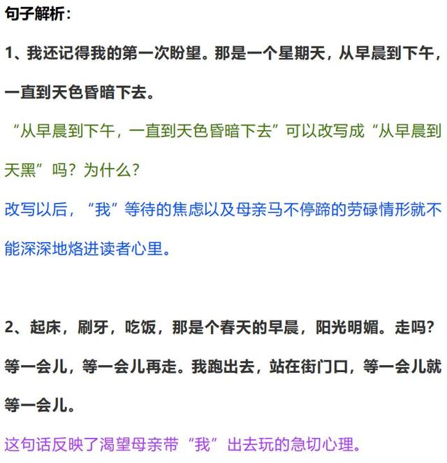 《那个星期天》课文重点句子解析与段落大意