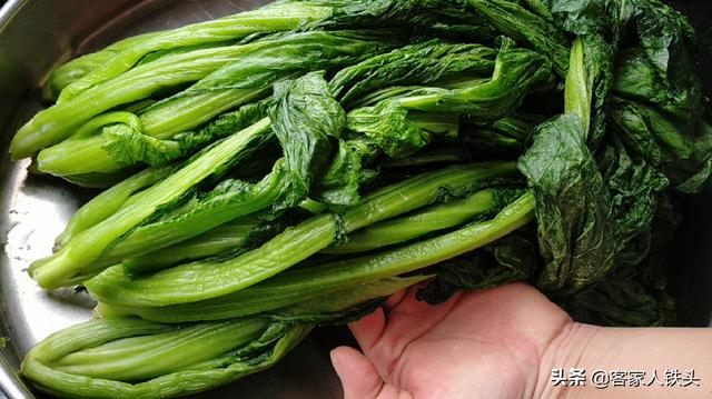 农家传统自制酸菜配方，简单一看就会，酸菜口感爽脆够酸！