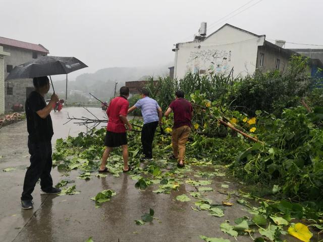 暴雨突袭 冯店镇上下齐心全力防汛