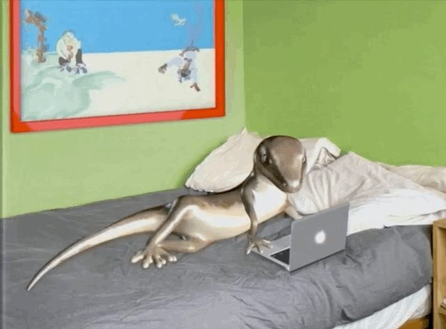 这两只蜥蜴在纽约被隔离了