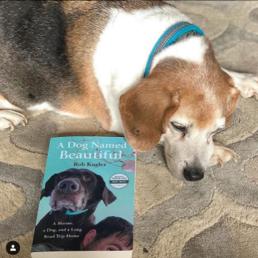 如果分离无法避免，请让我们好好告别