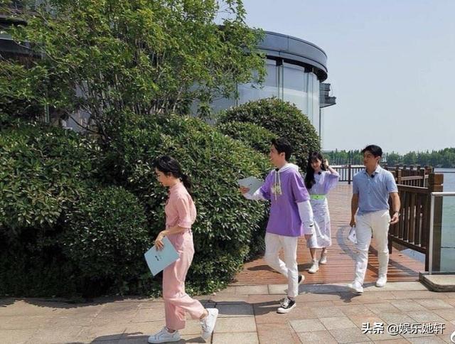 又一档综艺被曝开录，郑爽、谭松韵、张新成携