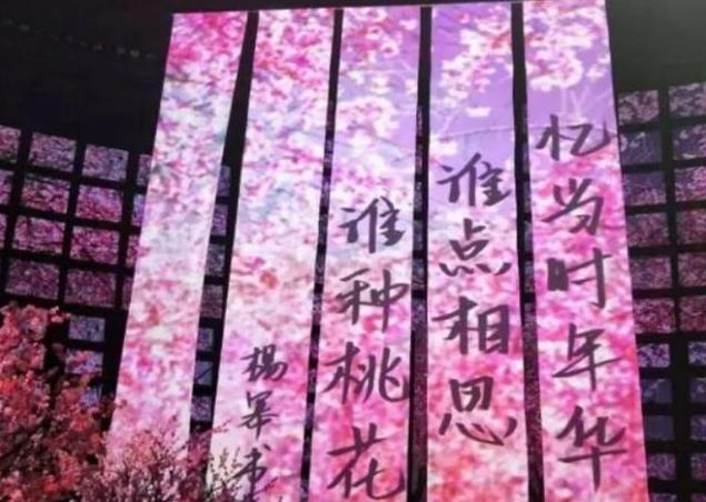 杨幂上节目大秀书法，看见写的字后，专家：作