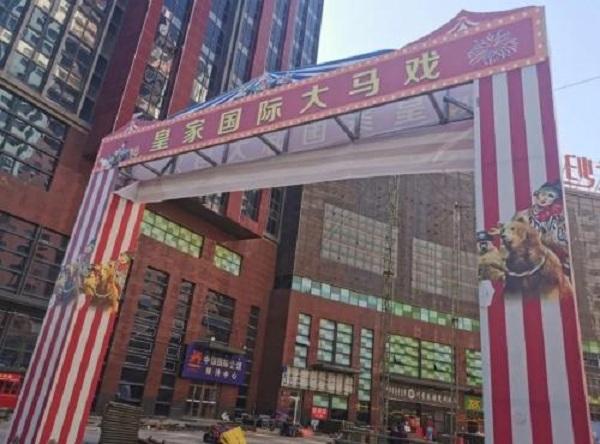 演员|身亡杂技演员家属不接受50万赔偿 只因有女儿要抚养