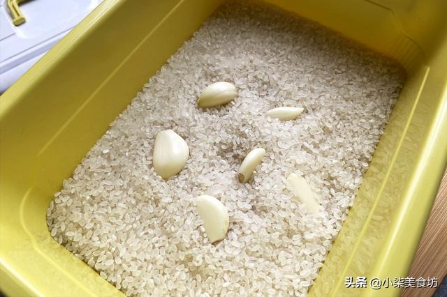 家中大米如何储存才不生米虫？教你5个小妙招，再也不担心长米虫