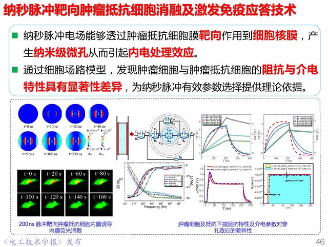 前沿技术报告｜重庆大学姚陈果教授：高压超短脉冲技术及应用