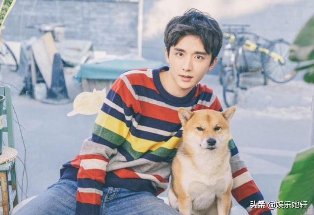 又一档综艺被曝开录，郑爽、谭松韵、张新成携