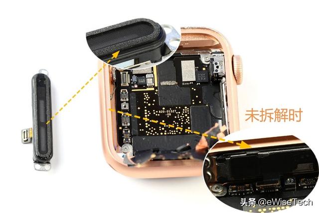 E拆解：从内部分析 Apple Watch Series 5的有何变化