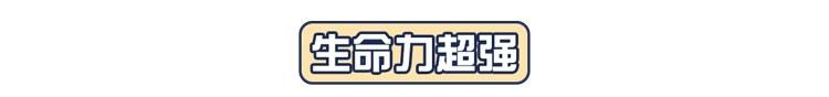 每年200万中国人死于癌症，再次提醒：这6种食物尽早撤下餐桌