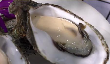 臺(tái)山市2020年云端上的巾幗“僑鄉(xiāng)農(nóng)耕節(jié)”來(lái)啦！邀請(qǐng)你來(lái)一起嗨