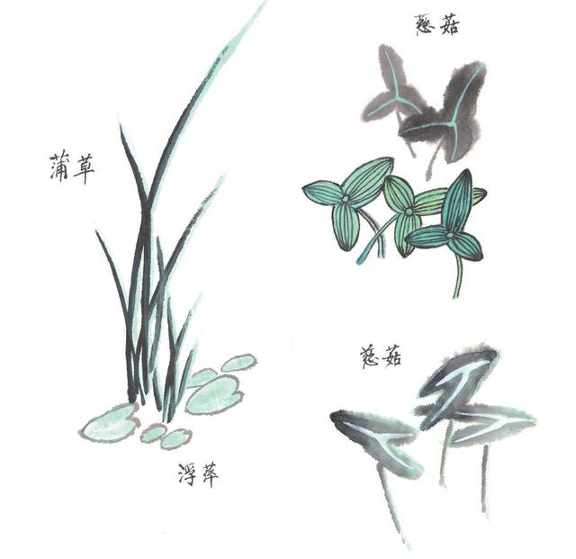 国画知识:荷花画法详细解析,从没骨法到勾填法教你画,简单易学