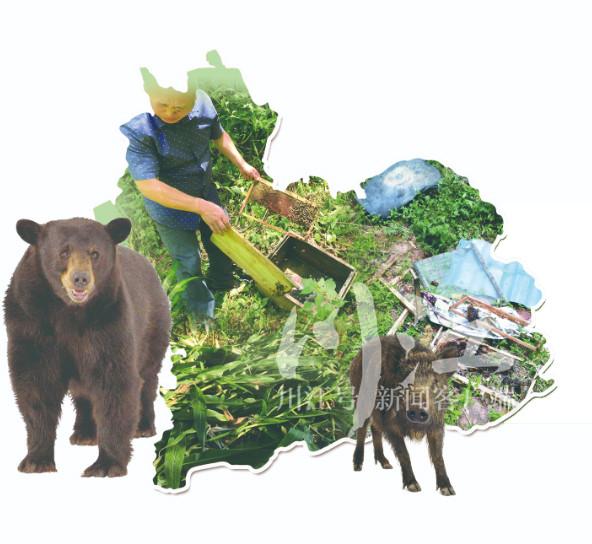 野生动物“组团搞事”，古蔺山区农民很烦恼