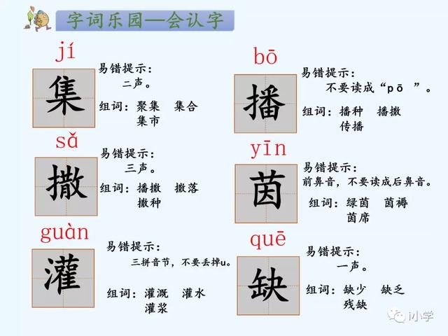 蛙组词图片