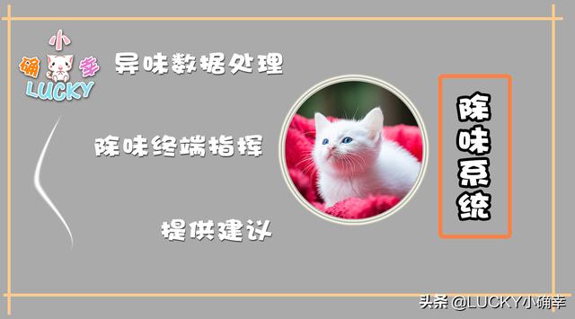 没想到吧？“智能家居”助力“无忧养猫”，铲屎官搓手期待