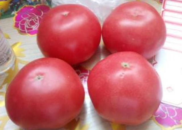 保存西红柿别放冰箱，菜农教你两招，久放不坏，天天吃新鲜西红柿