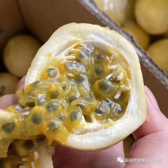 辰颐物语：黄金百香果竟然甜得像蜂蜜，美白还养颜