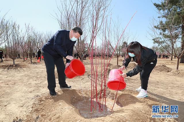 习近平参加首都义务植树活动(图10)