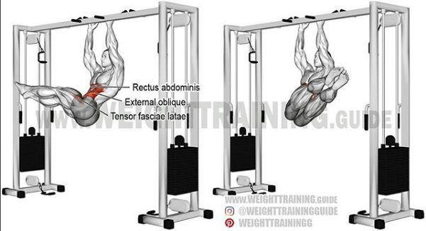 超全胸、腰、臀腿、肩背肌肉訓練圖解：健身圈必收，男女通用