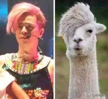 在线自夸？学员撞脸导师霸占热搜，他们竟这么