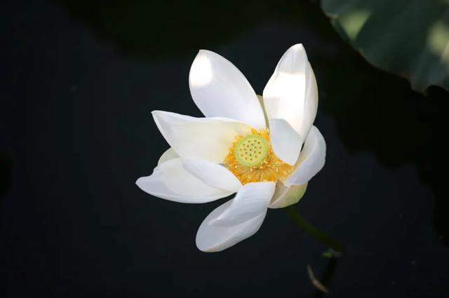 呦！菏澤這里真美