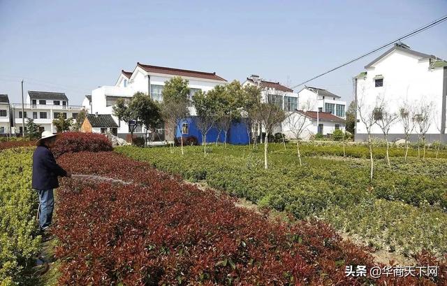 合村并居急不得，也不能急，如果没让农民过得