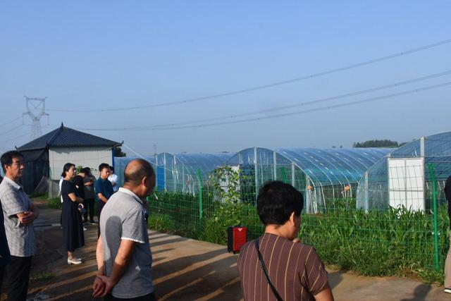 方城縣柳河鎮逐村觀摩曬成績擂臺比武大練兵