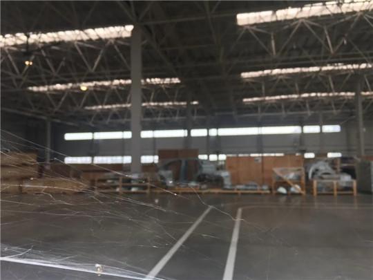 一文揭晓：汽车行业将会留下哪几个车企？