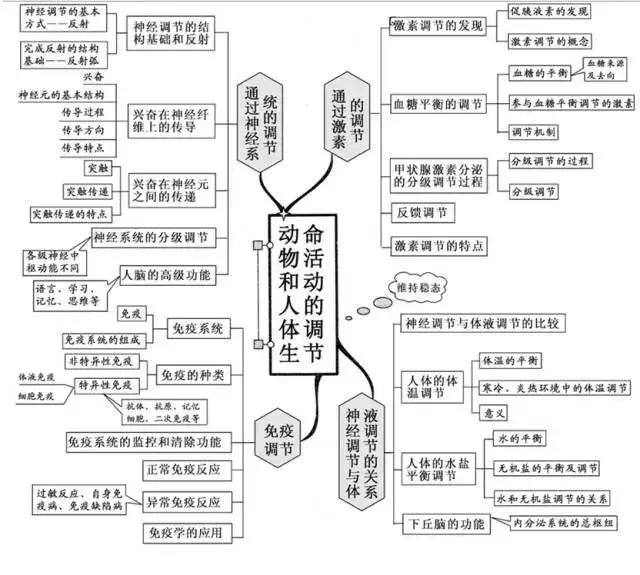 生物技术实践现代生物科技专题历史一,中国传统文化主流思想的演变二