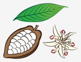 水彩画花背景PNG搜索网- 精选免抠素材_透明PNG图片分享下载_pngss.com