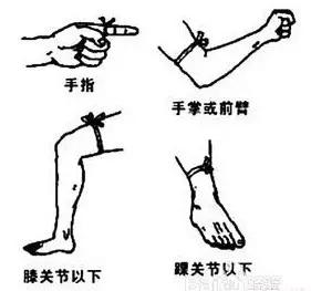 重庆|小心！这里有蛇！