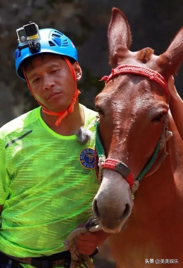 在线自夸？学员撞脸导师霸占热搜，他们竟这么相似？