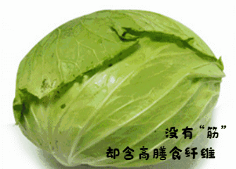 “人红是非多”：膳食纤维误区解读系列 part.1