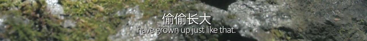 如果海子活到现在，他也会和北岛一样被骂吗？