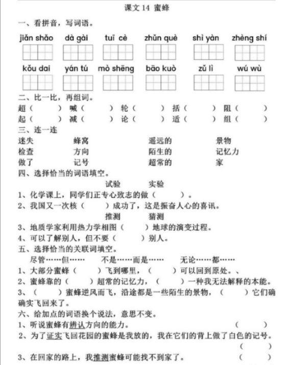 《蜜蜂》同步练习