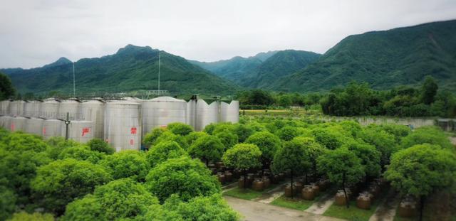 绵竹产区丰淳酒业：酒旅融合，打造龙门山下网红打卡地