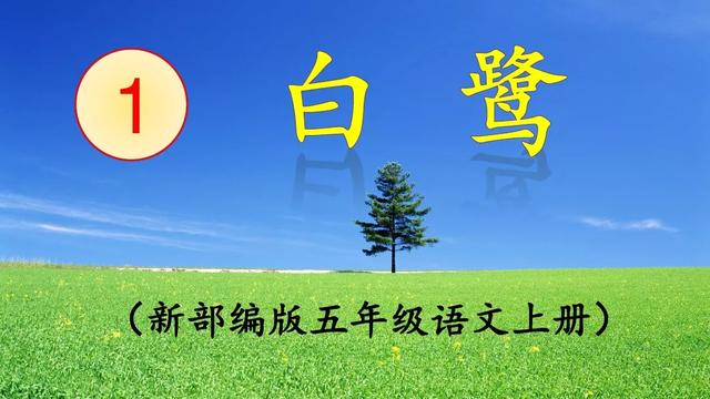 《白鹭》教学内容ppt课件图片预习-跟我学语文