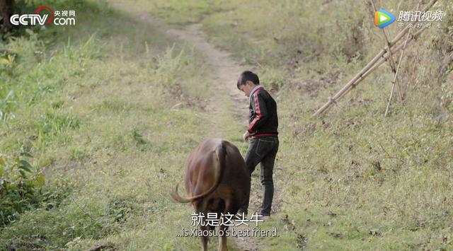 如果海子活到现在，他也会和北岛一样被骂吗？