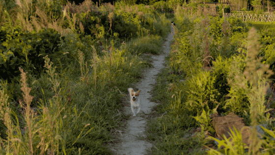 夫妻抵押掉上海独栋洋房，借1300万到乡下造房：我自在了