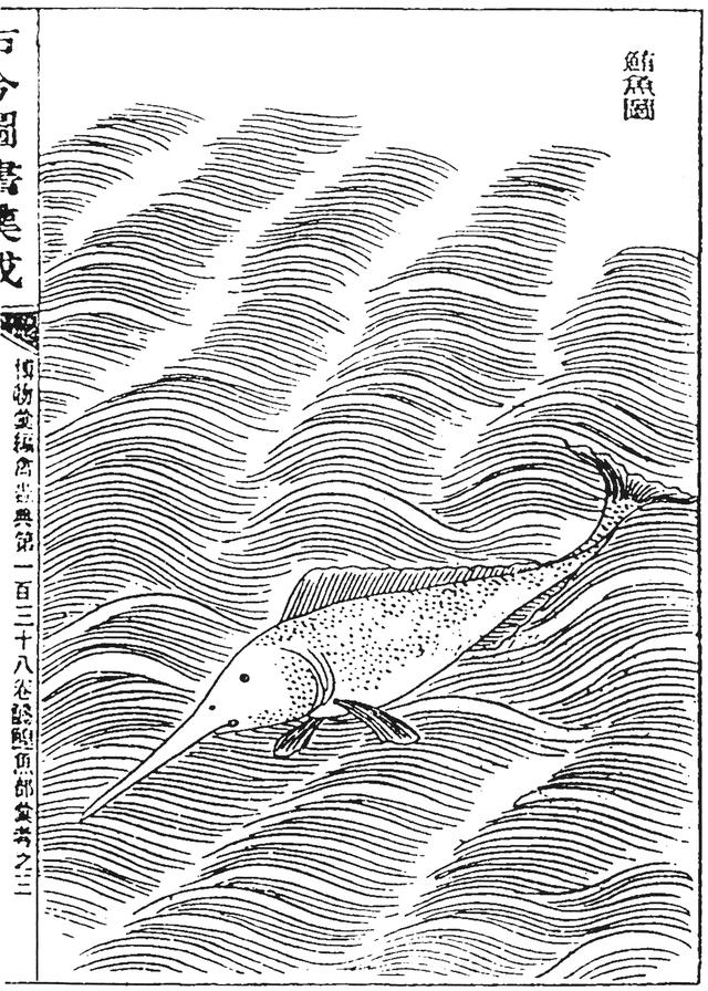 长江白鲟古人眼中兴风作浪的水怪