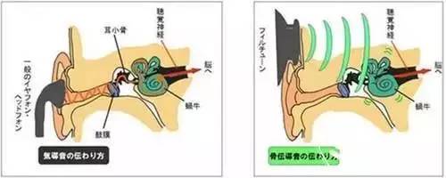 传说中的高科技——厦普305sh感受