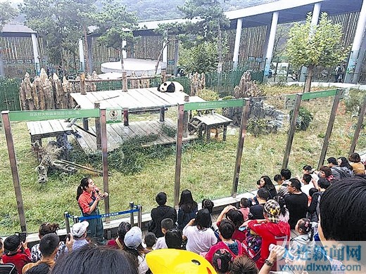 大连森林动物园动物萌翻游客　黄金周3天接待游客近6万人