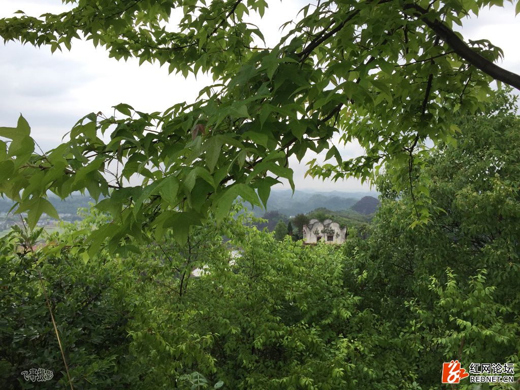 丹霞留青史，红星耀湖湘——参观仙姑岩红军营记
