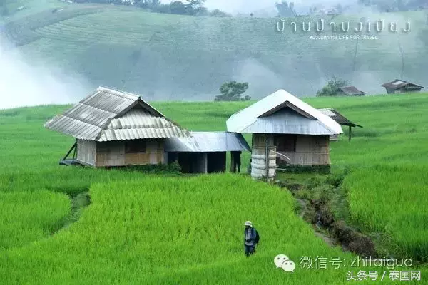 清迈美之所在，避世绝尘自然梯田！