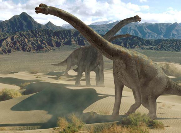 体型最大的恐龙是什么龙(堪称恐龙当中的巨无霸)