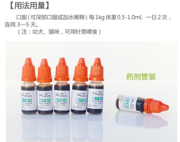 狗感冒吃什么药？人用感冒药一定要慎用